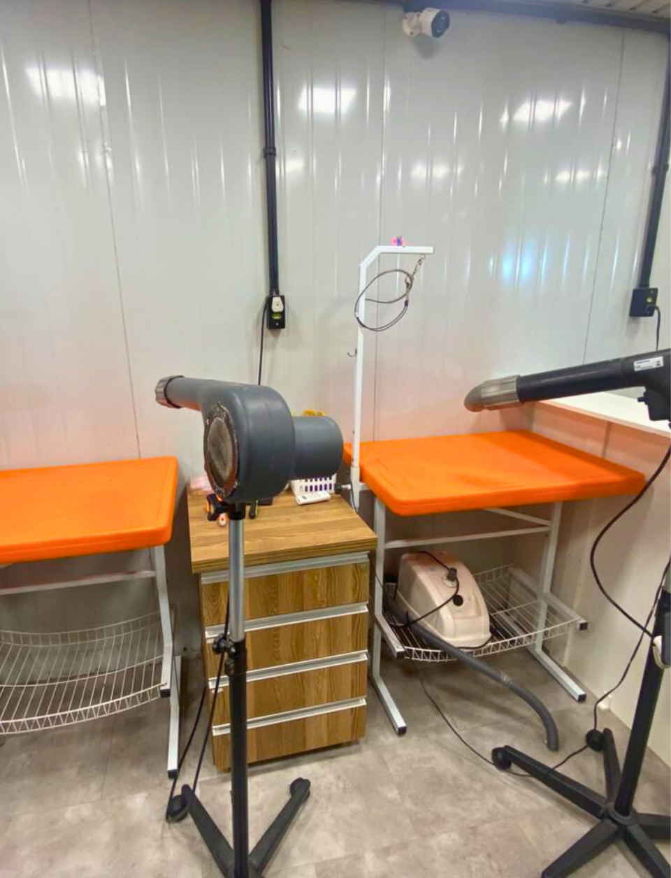 Design sem nome (59)