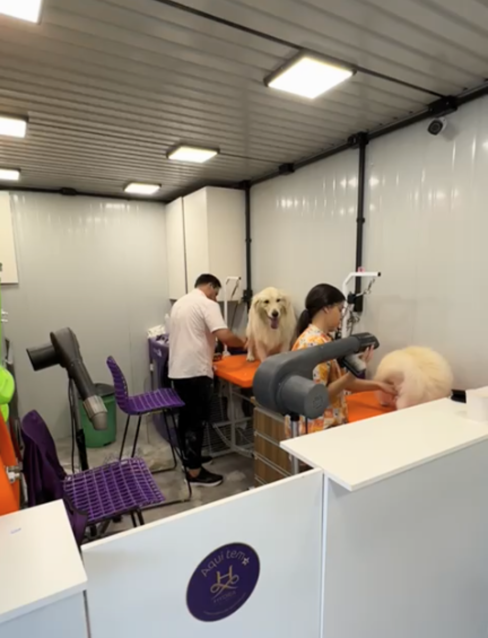 Design sem nome (60)