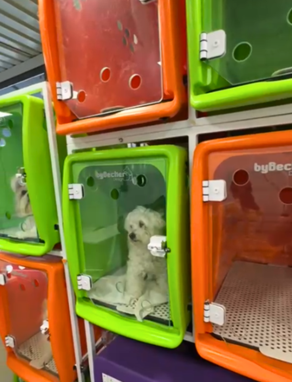 Design sem nome (61)