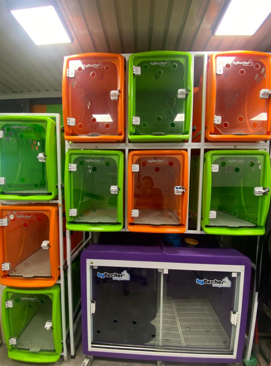 WhatsApp Image 2025-11-22 at 15.01.21