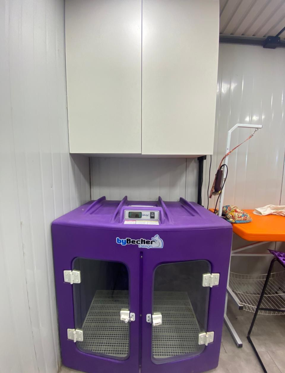 WhatsApp Image 2025-11-22 at 15.04.44